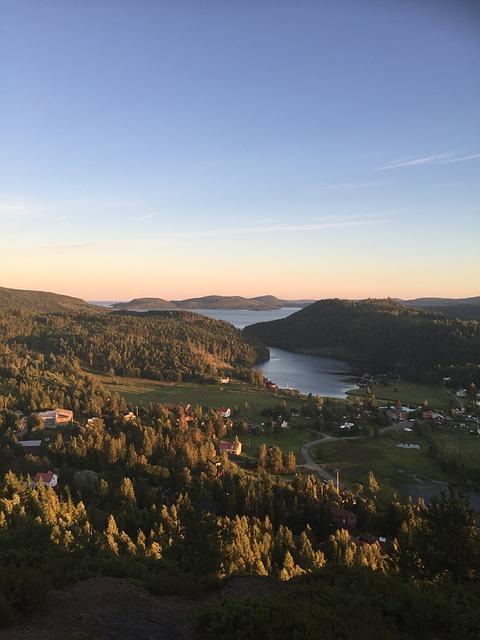 Djur och natur i Mjällomsviken